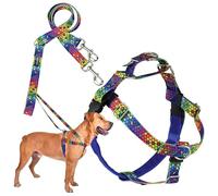 2 Hounds Design - Arnés antitirones Freedom y correa de entrenamiento en color azul y arco iris | Lazos dobles para correa, sin tirones al pasear | Forrado para evitar rozaduras | Para perros de gran