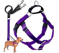 2 Hounds Design Freedom Arnés para Perro sin Tirar, con Correa, XL, 1 Pulgada de Ancho, Morado