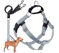 2 Hounds Design Freedom - Arnés para Perro sin tirones con Correa, Mediano, 1,5 cm de Ancho, Color Plateado