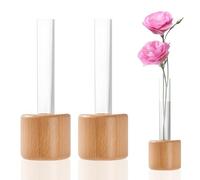 2 imanes para nevera, imanes para plantas y flores, jarrones magnéticos para nevera, decoración floral para neveras, pizarras blancas, mapas y otros artículos magnéticos.