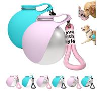 2-in-1 Portable Dog Water Bottle for Small Dogs, Leak-Proof Stainless Dog Travel Water Bottle with Foldable Silicone Bowl, 285ml Pet Water Bottle for Walking and Road Trips (2PCS-Stainless Steel-a)