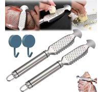 2-in-1 Stainless Steel Fish Scaler + Ginger Grater. 9 Inch Stainless Steel Fish Descaler Tool with Hanging Handle, Kitchen Tool for Pro Scale Remover (A,2pcs)