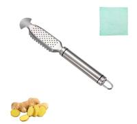 2-in-1 Stainless Steel Fish Scaler + Ginger Grater, Hanging Handle Design, Suitable for restaurants and kitchens (B-1pcs)