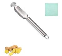 2-in-1 Stainless Steel Fish Scaler + Ginger Grater, Hanging Handle Design, Suitable for restaurants and kitchens (A-1pcs)