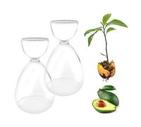 2 jarrones de cristal para árbol de aguacate, jarrón de iniciación de semillas de aguacate, jarrones de cristal, kit de cultivo de árbol de aguacate, jarrón hidropónico