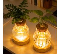 2 jarrones iluminados de cristal LED para flores, estación de propagación de plantas con base de madera, 3 modos de luz, 3 niveles, iluminación LED regulable, hidropónica, estación de propagación para