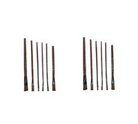 2 Juegos 2 Juegos De Pinceles De Acuarela Pintura Óleo Pincel De Acuarela Kits De Brillo De Labios Pintura Artística Suministros De Arte Escolar 6 Uds * 2 6 Piezas * 2 Operitacx