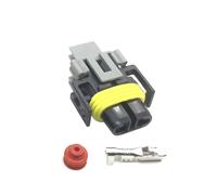 2 juegos de conector de luz antiniebla automotriz sellado macho hembra de 2 pines H8 H9 H11 lámpara de xenón enchufe de cableado pieza de repuesto 12124819(Female)