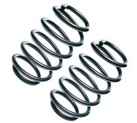 Muelles delantero OE recambio R10015 para Seat Arosa 1J0 411 105 AF - 49551 - 81