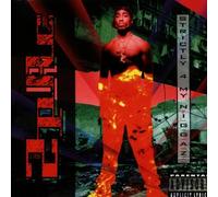 2 Pac - Strictly 4 My N.I.G.G.a.Z.