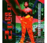 2 Pac - Strictly 4 N.I.G.G.a.Z.