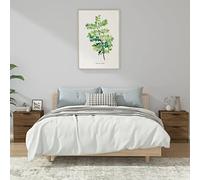 2 Pack Night Stands with Drawers, Brown Oak Plywood Bedside Tables for Bedroom, Sturdy Modern End Table with Spacious Storage, Easy Assembly Home Decor Furniture 45x39x50cm