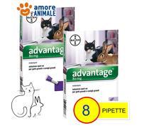 2 Paquetes - Bayer Advantage 80MG para Gatos Y Conejos Más 4 KG-4 Pipetas