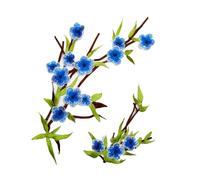 2 parches bordados de flores para coser en ropa, reparación de ropa, jeans, chaquetas, faldas, decoración de vestidos de novia, parches de tela de poliéster