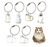 2 PCS Cat Cabellado Cabello transparente Cápsula de almacenamiento conmemorativo Pet Botella de almacenamiento Pet Botella Animal Amante de mascotas Amante de mascotas Regalo d NO.4 and NO.5 2 piezas