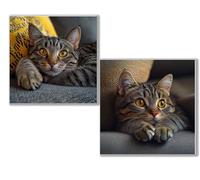 2 pcs Diamond Painting gato animal, 5D Diamond Painting Kit Completo, Kit DIY de Pintura Diamante con Diseño de Mosaico, Cuadro Diamantes Manualidades Adultos para Decoración Casa 100x100cm 0D-625
