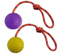 2 Pcs Pelota con Cuerda para Perros y Gatos,Bola Perros Interactiva,Bola Hueca de Caucho Utilizado Para Lanzar y Arrastrar una Guerra，No Apto para Fuerte Masticación Perros (L, Púrpura + Amarillo)