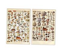 2 Pcs Vintage Mushroom Poster Decoración De Pared Estampado De Setas Y Cartel Botánico Animal Print Botanical Print and Botanical Poster