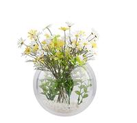 æ- 2 peceras colgantes para colgar en la pared, tanque betta, decoración de pared, plantas, peces, burbujas, para colgar en la pared, transparente