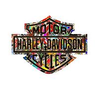 2 pegatinas Bomb Bar and Shield Harley Davidson depósito casco moto custom (12 cm x 9 cm)