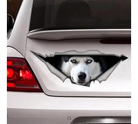 2 pegatinas de Husky Break the Wall para el coche, 20 x 7,5 cm, divertido perro vinilo impermeable para parachoques de coche, portátil, guitarra, un regalo para los amantes de las mascotas |# S60415