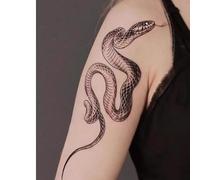 2 Pegatinas De Tatuaje Temporal De Hierbas, Tatuaje Falso, Para Brazo Europeo Y Americano, Jugo De Serpiente, Para Mujeres Y Hombres, No Reflectante, Con Una Duración De 2 Semanas.
