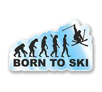 2 Pegatinas de Vinilo Born to Ski de 10 cm de Ancho, para Ordenador portátil, Casco de esquí, montañas de Regalo, Divertido #6592 (10 cm de Ancho x 6 cm de Alto)