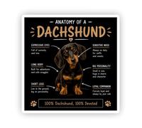2 pegatinas de vinilo de anatomía de perro salchicha negro y marrón de 10 cm, diseño de perro salchicha, cachorro, lindos rasgos positivos, regalo divertido para laptop, #73014