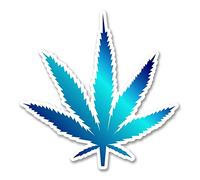 2 pegatinas de vinilo de canna e 10 cm para ordenador portátil, marihuana medicinal de marihuana #6265 (10 cm x 10 cm)