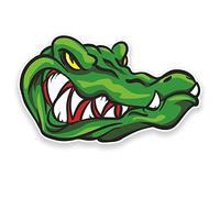 2 pegatinas de vinilo de cocodrilo de 10 cm para laptop, casco, coche, bicicleta, patinaje #9196 (10 cm de ancho x 6 cm de alto)