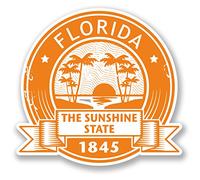 2 pegatinas de vinilo de Florida USA de 10 cm para iPad y ordenador portátil, bandera de coche #5549 (10 cm x 10 cm)