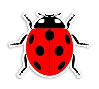 2 pegatinas de vinilo de mariquita roja de 10 cm, diseño de insecto de insectos lindos para portátil #34979