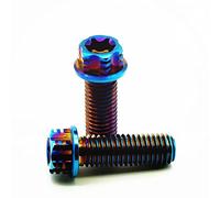 2 Pernos de Titanio M6, M8, M10 x 1,25 x 1,5 mm, 20/25/30/35/40 mm, Tornillos Torx de Cabeza de Brida para Motocicleta MTB, Sujetadores de Titanio