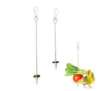 2 Pieza Brocheta de Loro, Juguete Comedero para Pájaros, Pincho Loro, Titular Fruta Pájaro, Herramienta de Fruta de Loro, Soporte de Frutas para pájaros, Palo de pincho para Percha de Loros