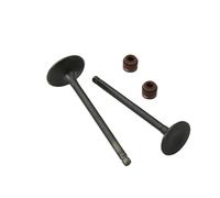 2 piezas aptas for Agility125 Like125 Admisión y válvulas for Kymco Agility Like Movie XL 125 People125 14711-KUDU-900 14721-KUDU-900