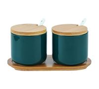 2 Piezas Azucarero y Salero, Saleros de Cocina Modernos, Salero, Tarro de Condimentos de Cocina de Cerámica para Sal, Azúcar, Pimienta, Especias, Ajo en Polvo, Cebolla en Polvo (250 ML - Verde)