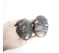 2 piezas de piedra de Anfíbol, piedra de palma de Anfíbol, piedra de chakra y sanación, piedra pulida, 100% natural y artesanal