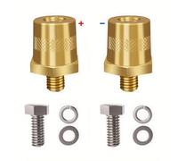 2 Piezas de Terminales de Batería M6 de Calidad: Adaptadores de Tornillo de de Cobre - Adecuados para Baterías de Coche; Terminales de Cobre con Roscas M6