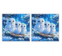 2 Piezas DIY Diamond Painting Kit para Adultos, Blanco BúHo, 5D Diamont Art, Mosaico Pintura Bordado, Adecuado para Niño Principiantes, Decoración de Dormitorio, Regalo para Niña, 80x80cm Z7YX-512