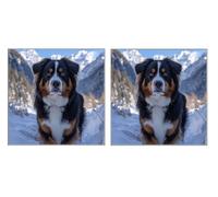 2 Piezas DIY Diamond Painting Kit para Adultos, Cachorro MontañA Nevada, 5D Diamont Art, Mosaico Pintura Bordado, Adecuado para Niño Principiantes, Decoración de Dormitorio, 90x90cm Z7YX-783