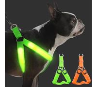 2 piezas Light Up Arnés para Perros Luminoso Recargable, Luminoso Arnés para Perros, Iluminado Recargable Para Paseo Nocturno Para Pequeños M