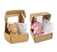 2 piezas My Little Worry Bear en una caja, juego de regalo de mini osos de peluche, oso preocupado en una caja para niños, mujeres, amigos y familiares, regalo de apoyo emocional para cumpleaños