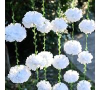 2 Piezas Pompones de Papel de Seda, 2,5 Metros Pompones Papel Seda, Pompones Decoración Fiesta, Pompon Papel de Seda para Fiestas de Cumpleaños, Bodas, Despedida de Soltera, Compromiso (C)