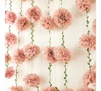 2 Piezas Pompones de Papel de Seda, 2,5 Metros Pompones Papel Seda, Pompones Decoración Fiesta, Pompon Papel de Seda para Fiestas de Cumpleaños, Bodas, Despedida de Soltera, Compromiso (A)