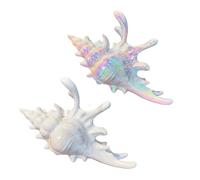 2 pinzas de garra de pelo de concha blanca iridiscente y sólida, accesorios de pelo de concha de mar de playa para mujeres, clips de garra grande de tema oceánico para mujeres