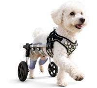 2 Ruedas Ajustable Perro Gato Mascota Anciano Scooter Silla De Ruedas para Perros Extremidad Trasera Carro De La Energía Animal Discapacitado Rehabilitación Carrito para Perros Grand