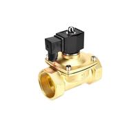 2" Solenoid Valve 24v Ac IP65 Waterproof Normally Closed Brass DN50 Solenoid Valve 24V 12V 220V 110V(NPT_120VAC_NBR-SEAL)