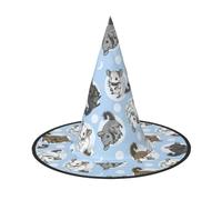 2 sombreros de bruja de Halloween de chinchillas azules y luna para mujer, ala ancha, plegable, puntiaguda, para fiesta de Halloween