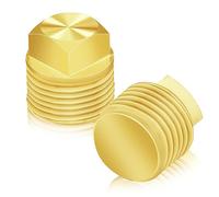 2 Tapones de Drenaje para Barcos, de latón Macizo, 1/2 Pulgada NPT, Tapones para Barcos, tapón de Drenaje de Repuesto para Casco, Compatible con Glastron, Adecuado para la mayoría de los Cascos
