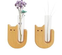 2 tarros de Bigotes para, Mini jarrones de Bigotes de Gato, jarrón de para, coleccionista de Vidrio conmemorativo, decoración del hogar para Amantes de los